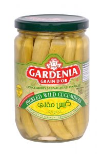 Concombres Sauvage / Mekté